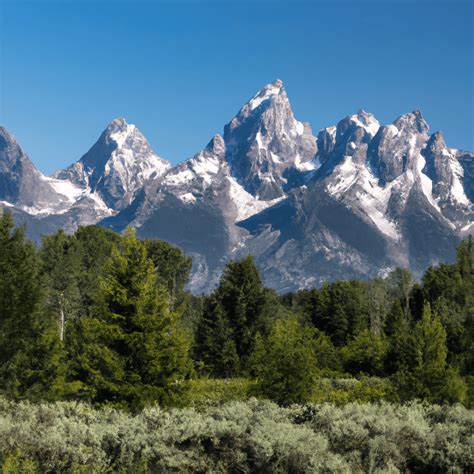 les tetons qui pointent|Tétons qui pointent : voici vraiment ce que cette réaction signifie